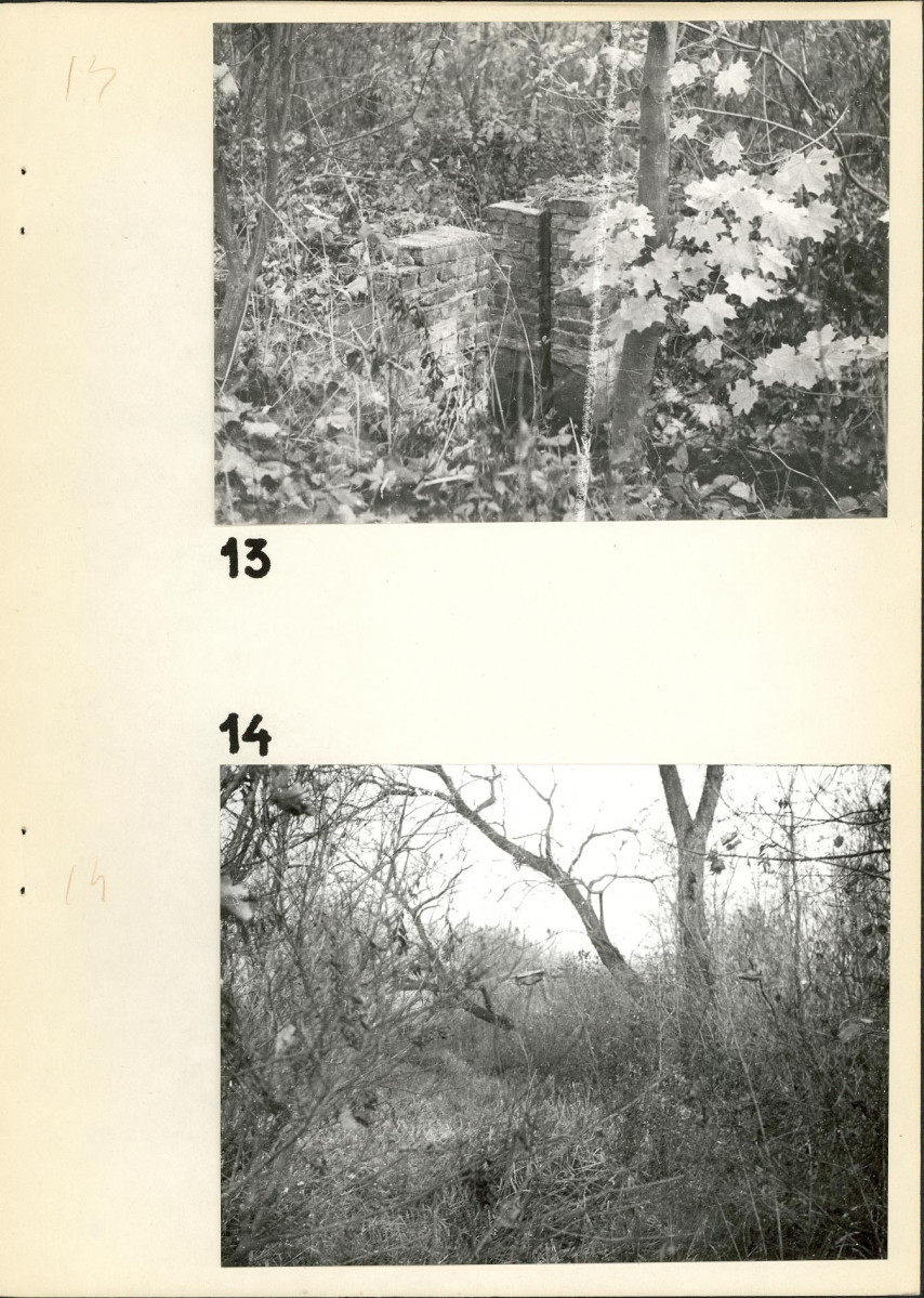 Ewidencja parkowa, skan nr 21