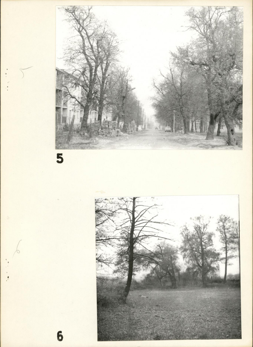 EP - Ewidencja parkowa, skan nr 16