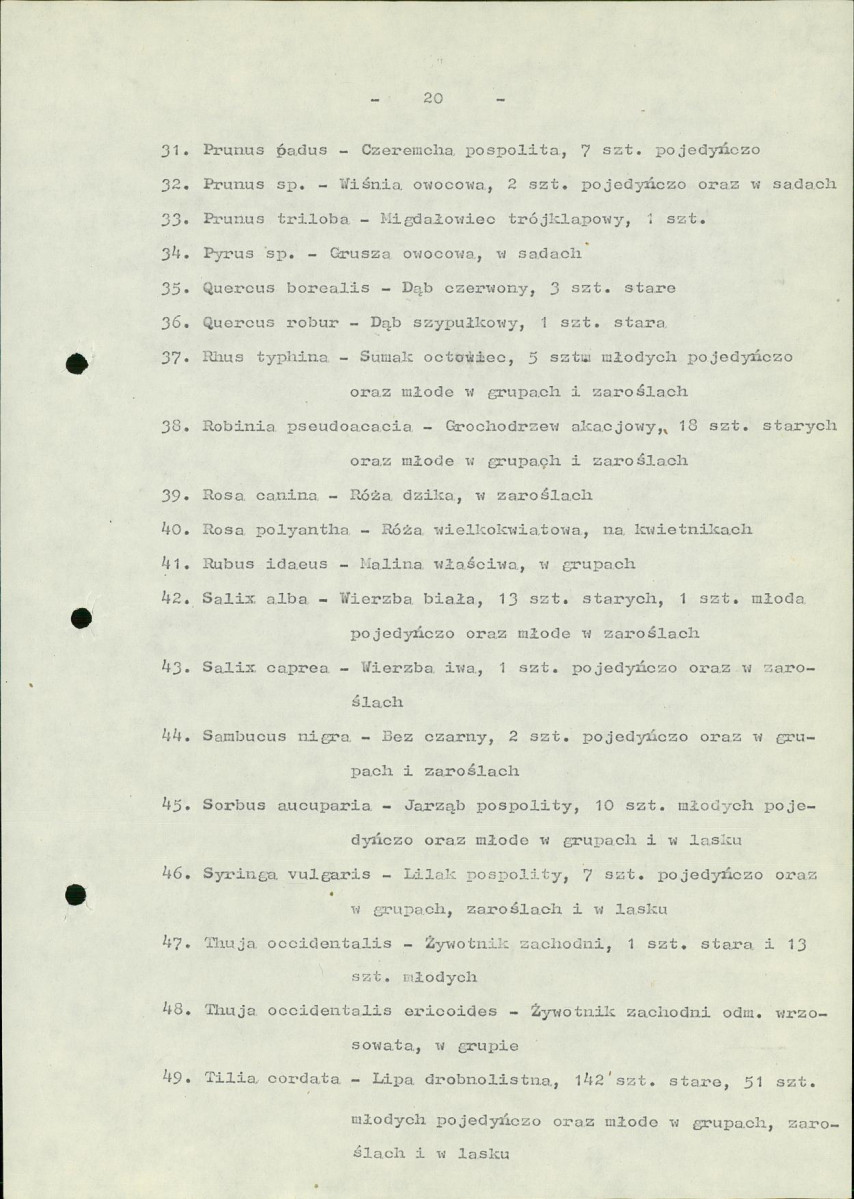Ewidencja parkowa, skan nr 25
