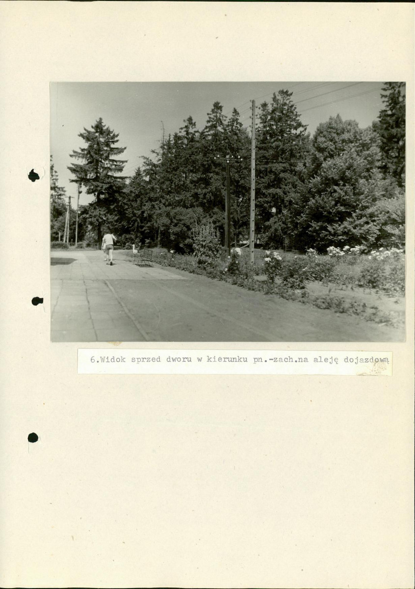 Ewidencja parkowa, skan nr 41
