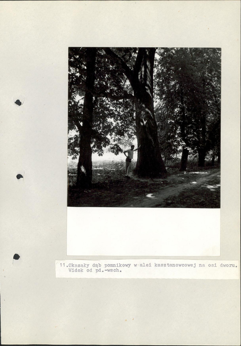 Ewidencja parkowa, skan nr 46