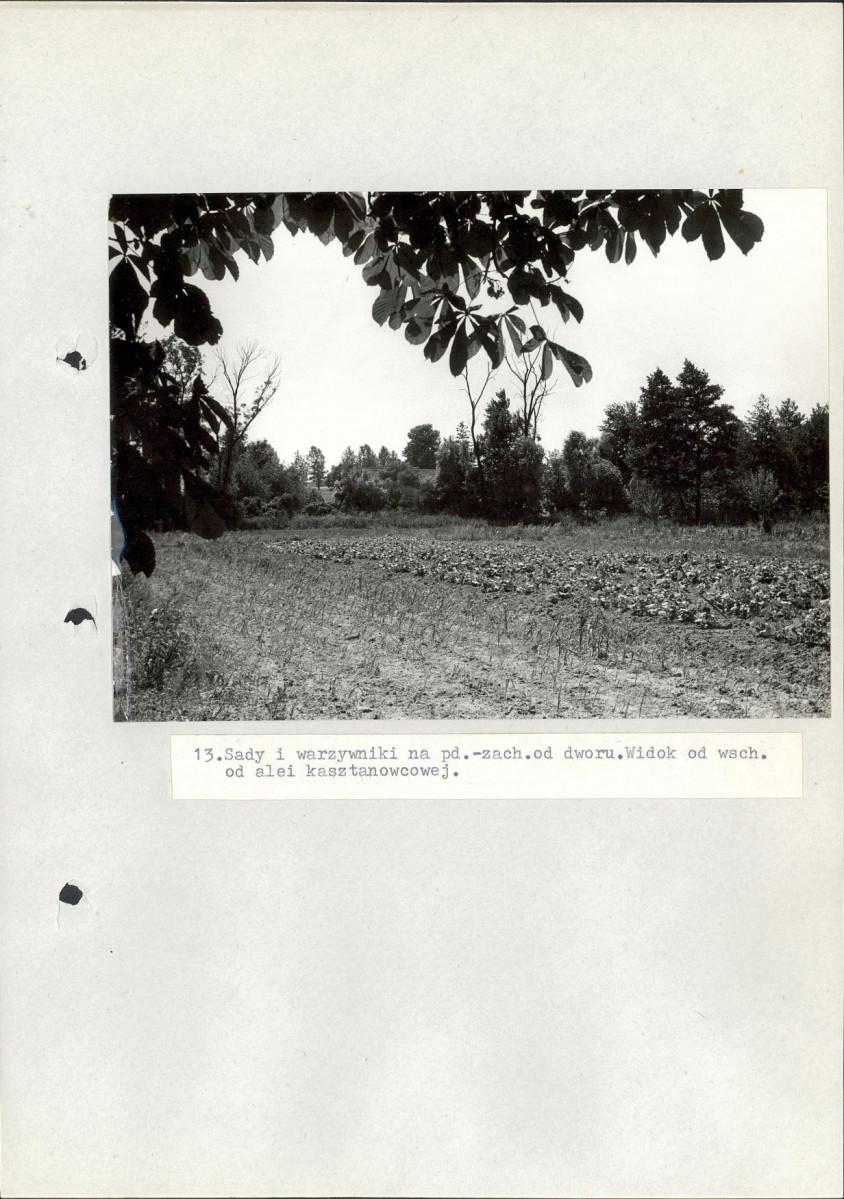 Ewidencja parkowa, skan nr 48
