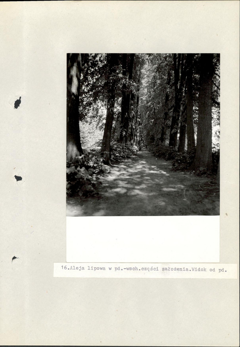 Ewidencja parkowa, skan nr 51