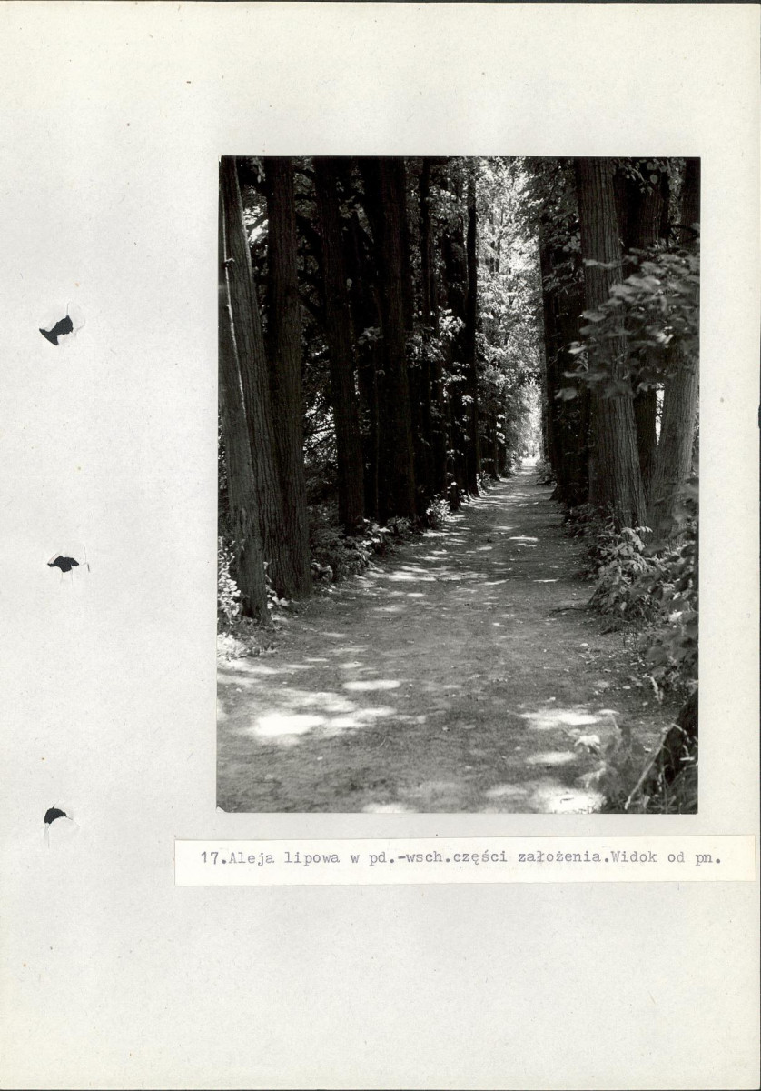 Ewidencja parkowa, skan nr 52
