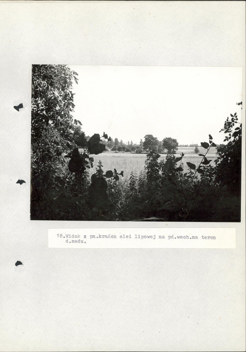 Ewidencja parkowa, skan nr 53