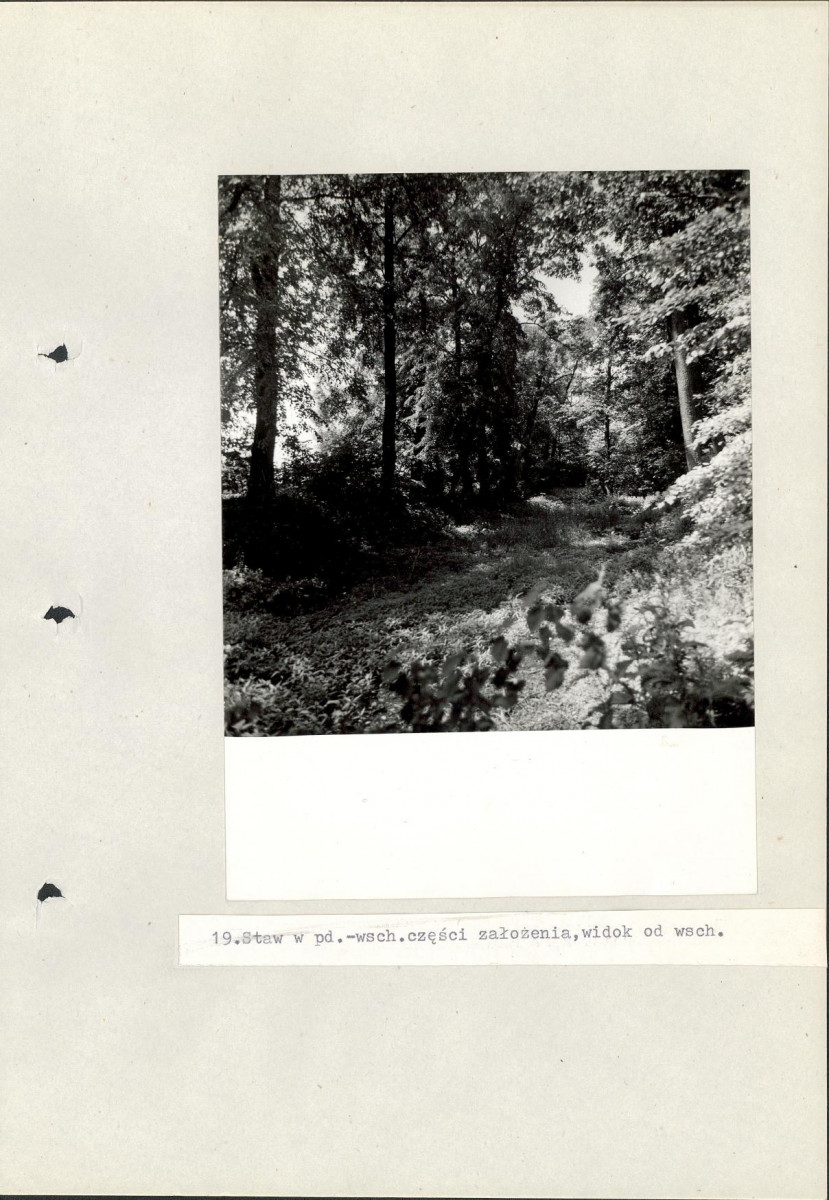 Ewidencja parkowa, skan nr 54