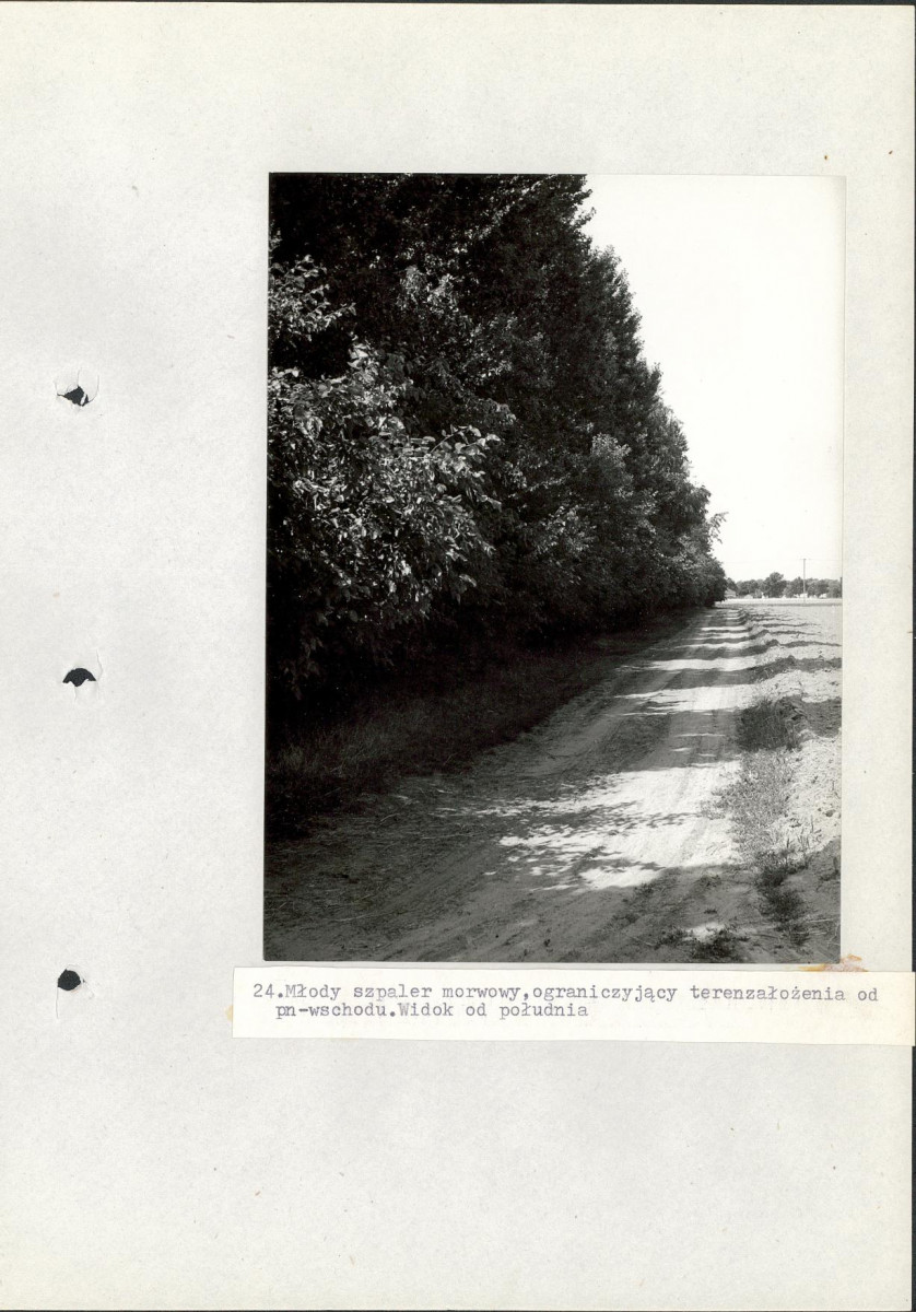 Ewidencja parkowa, skan nr 59