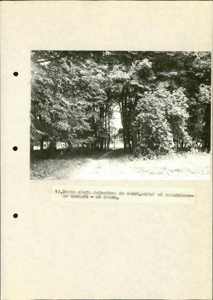 Ewidencja parkowa, skan nr 34