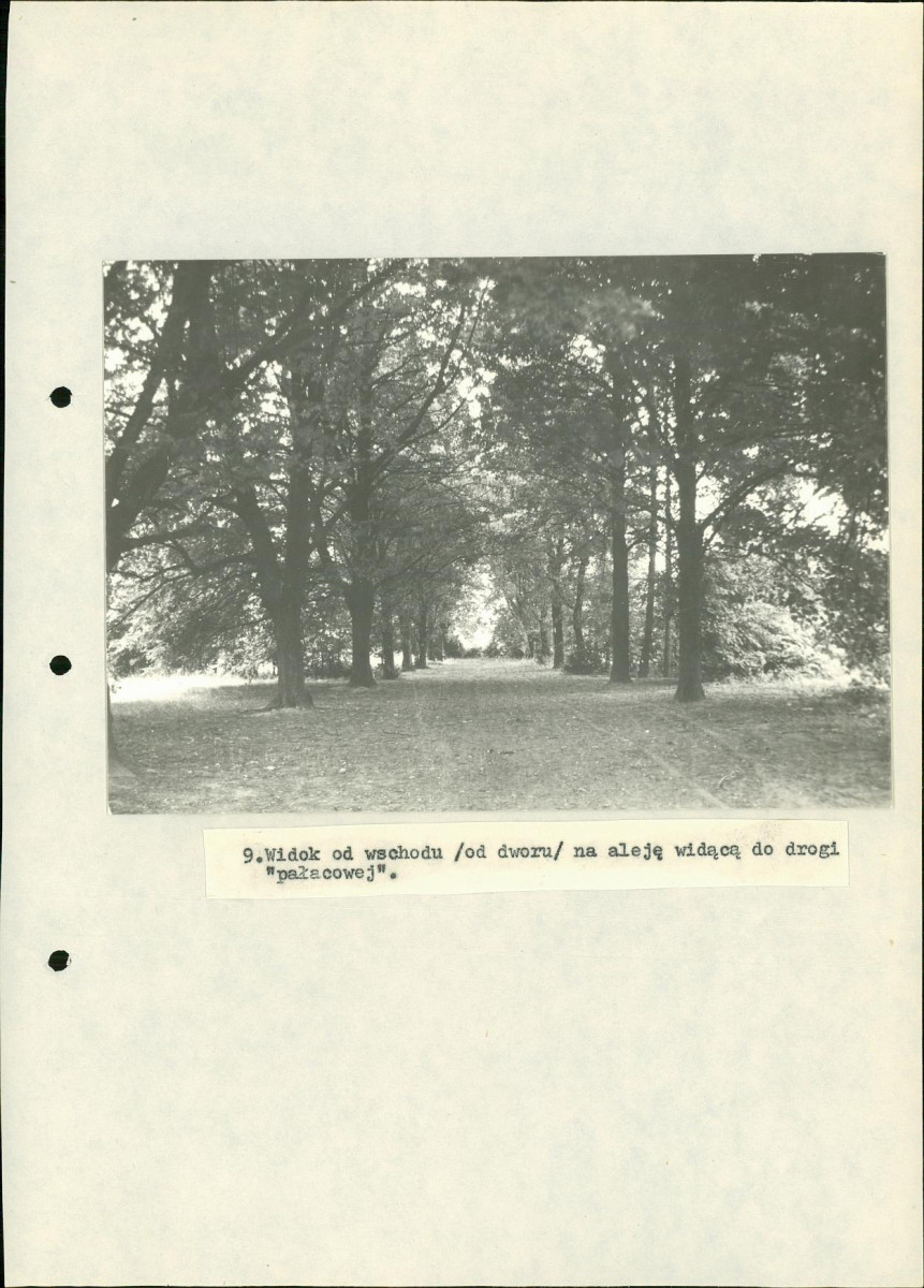 Ewidencja parkowa, skan nr 28