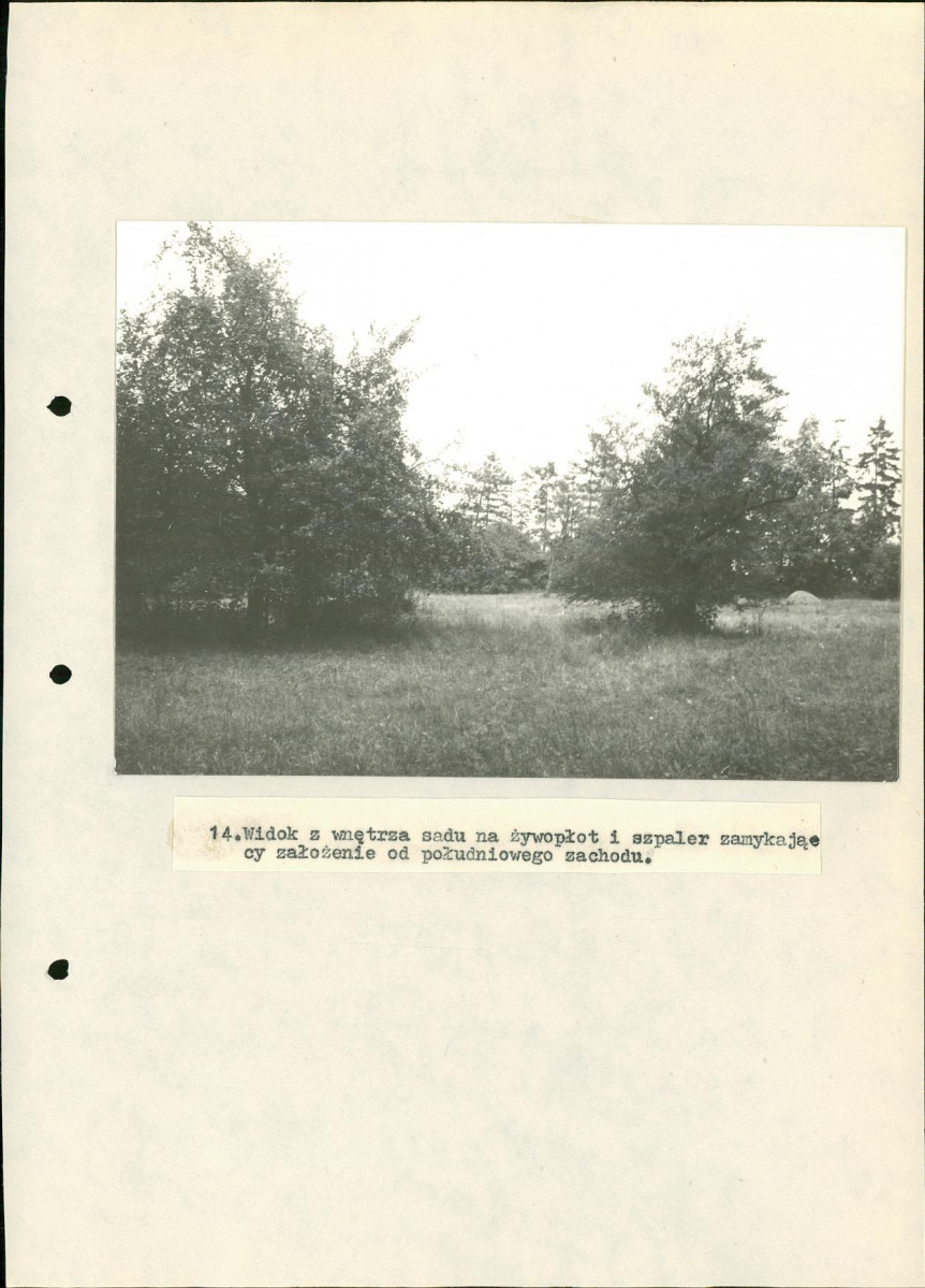 Ewidencja parkowa, skan nr 33