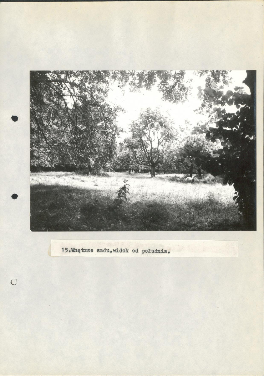 Ewidencja parkowa, skan nr 34
