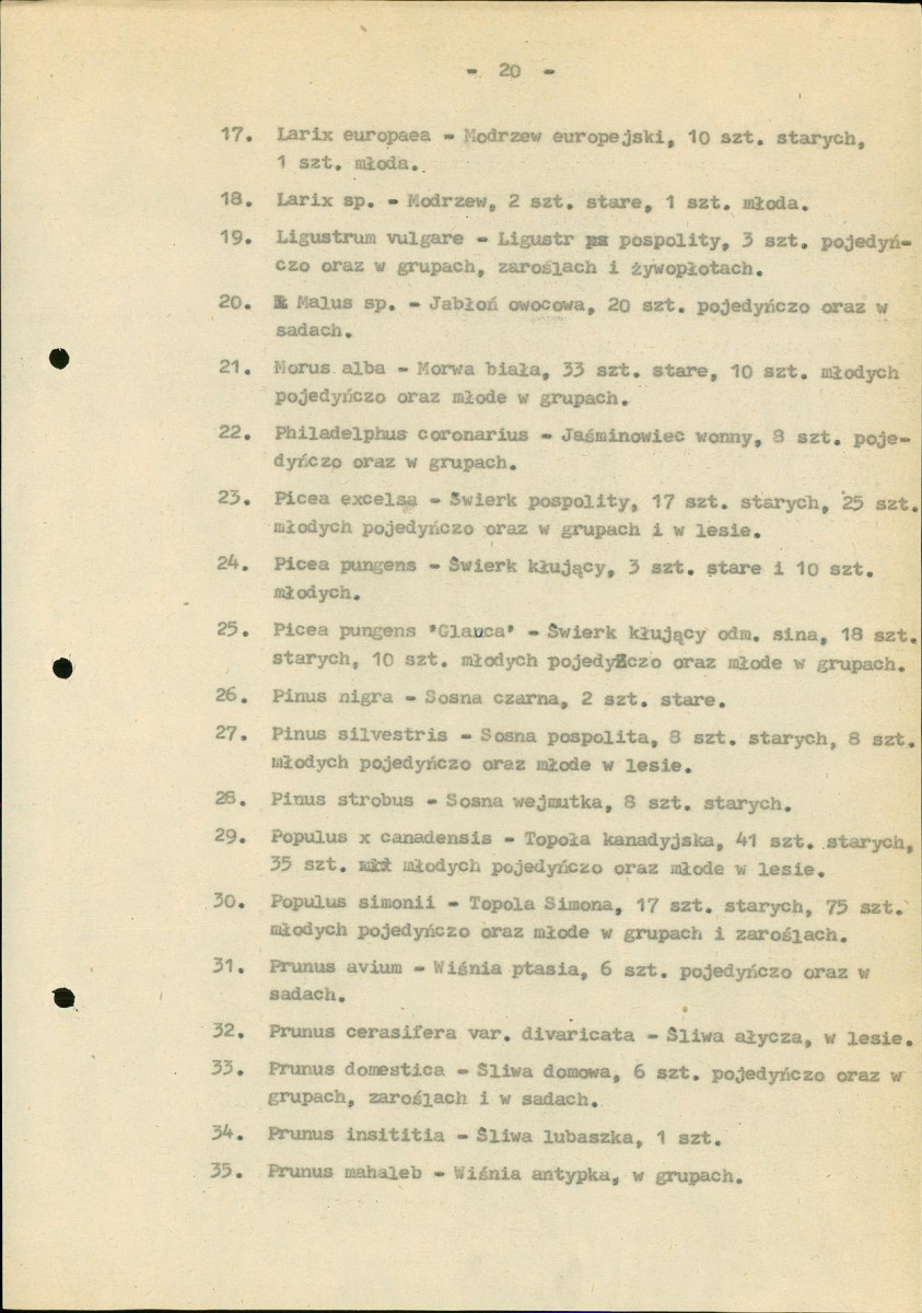 EP - Ewidencja parkowa, skan nr 25