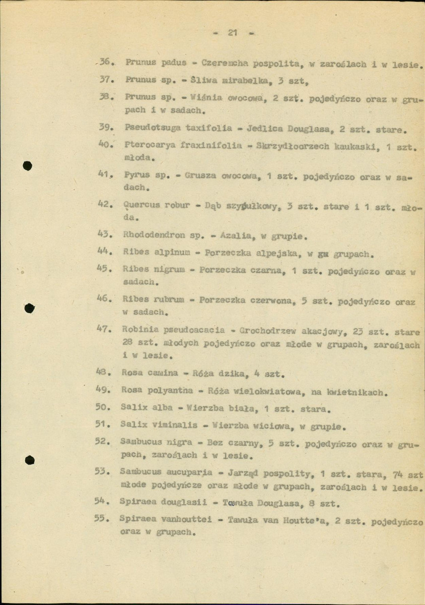 EP - Ewidencja parkowa, skan nr 26