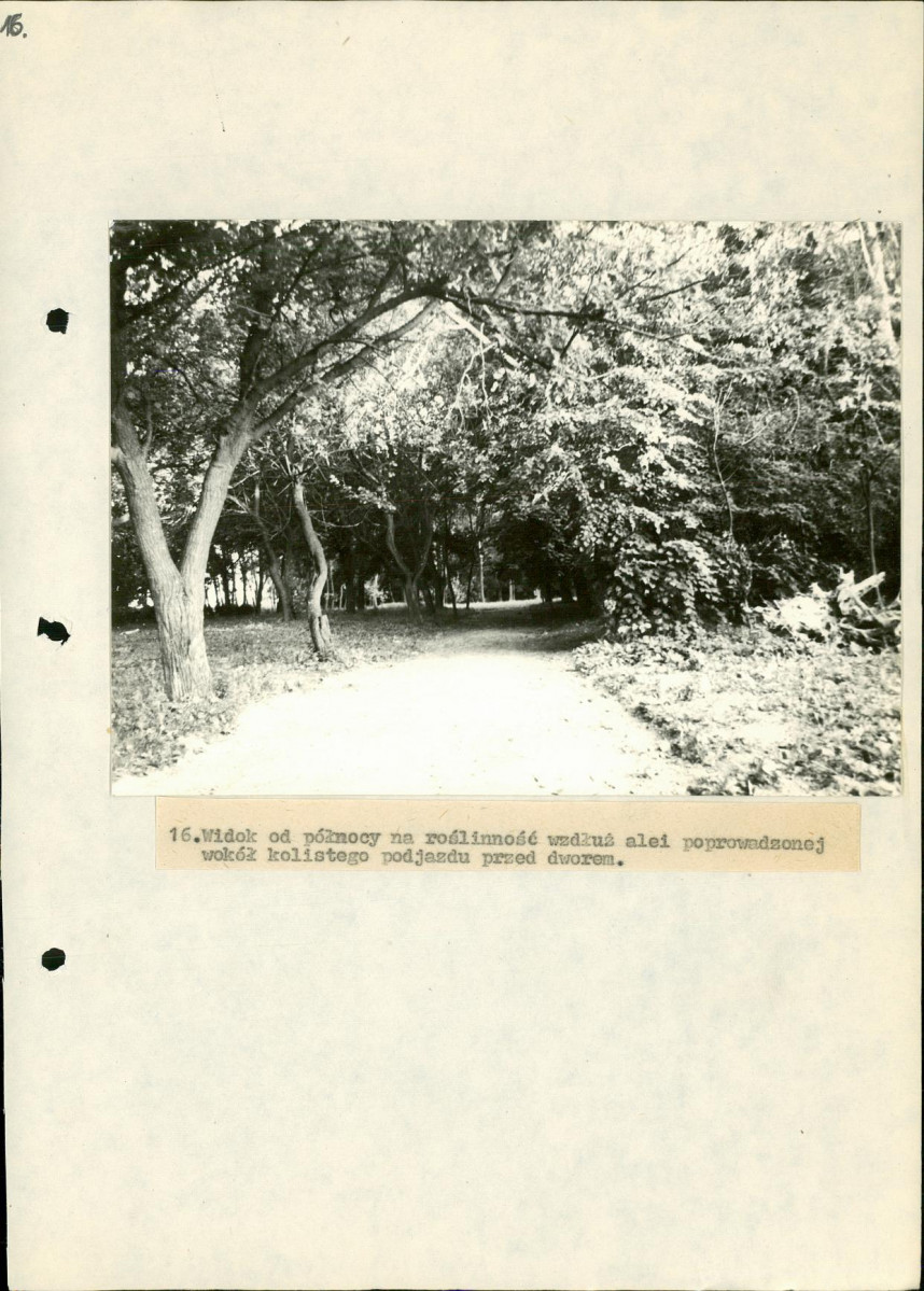 EP - Ewidencja parkowa, skan nr 51