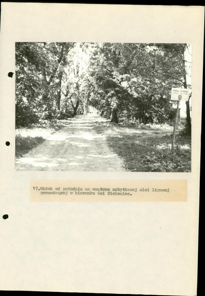 EP - Ewidencja parkowa, skan nr 52