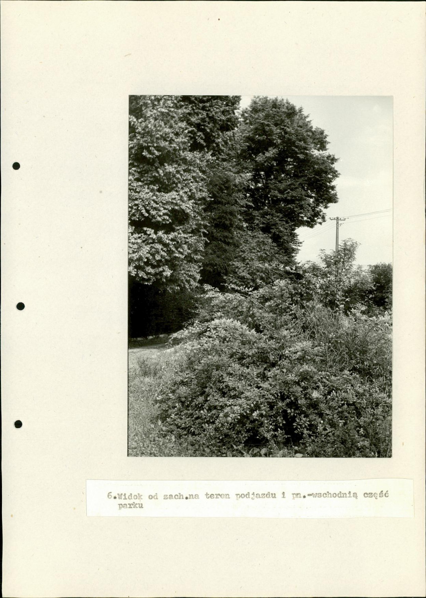 Ewidencja parkowa, skan nr 32