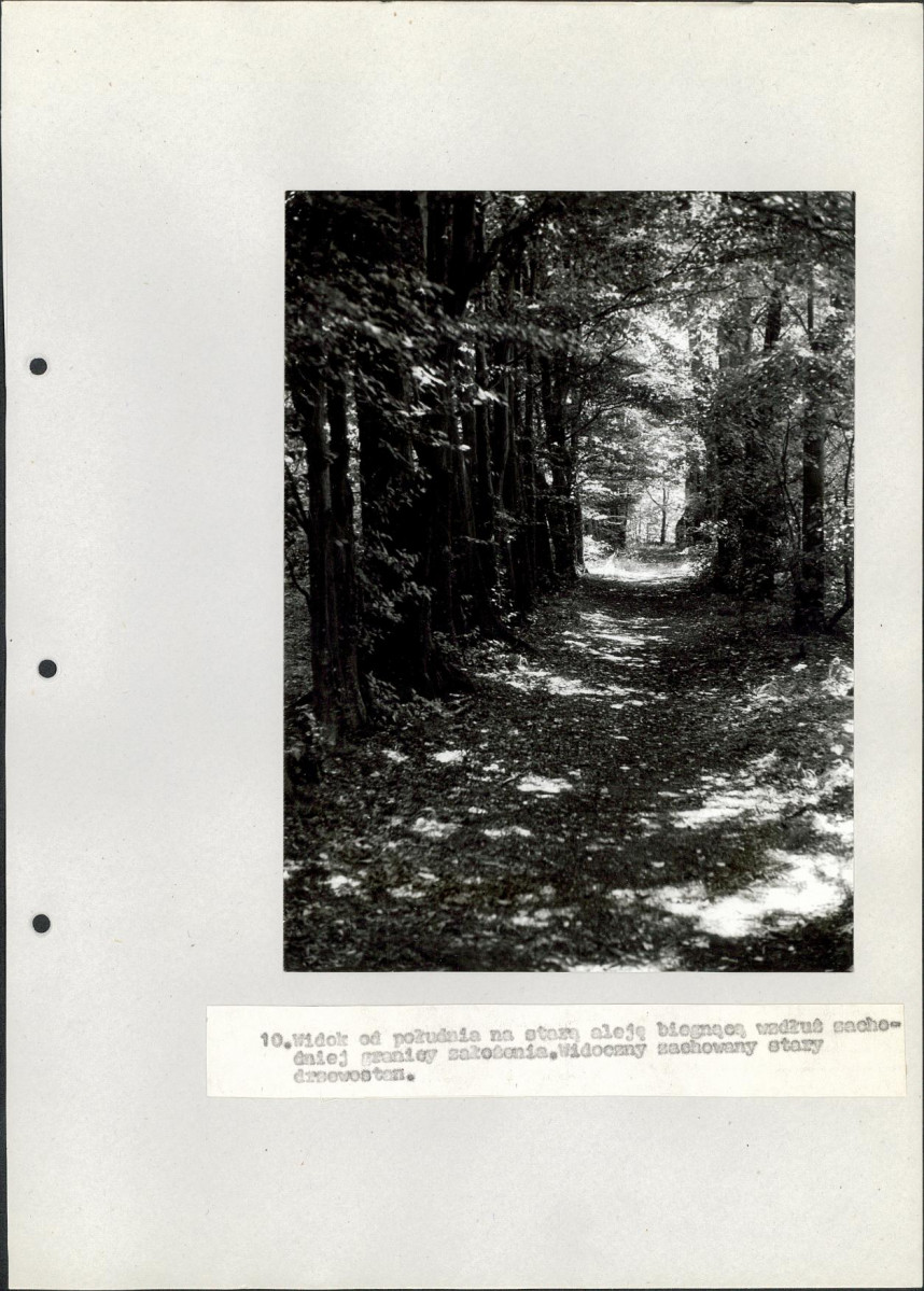 Ewidencja parkowa, skan nr 36