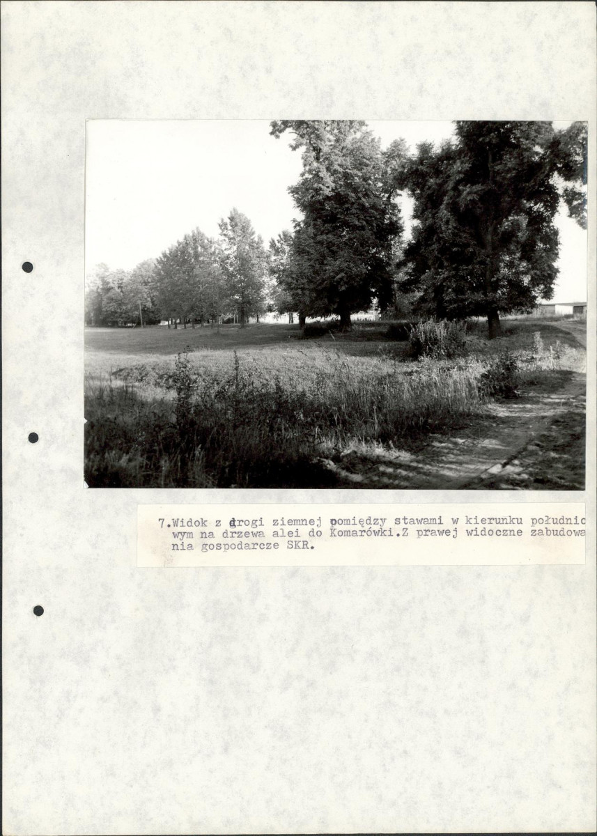 Ewidencja parkowa, skan nr 46