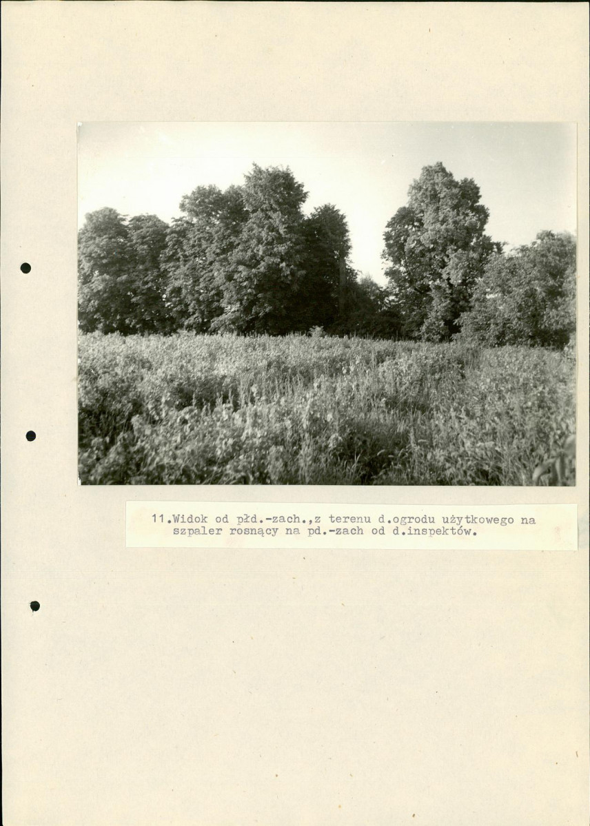Ewidencja parkowa, skan nr 50