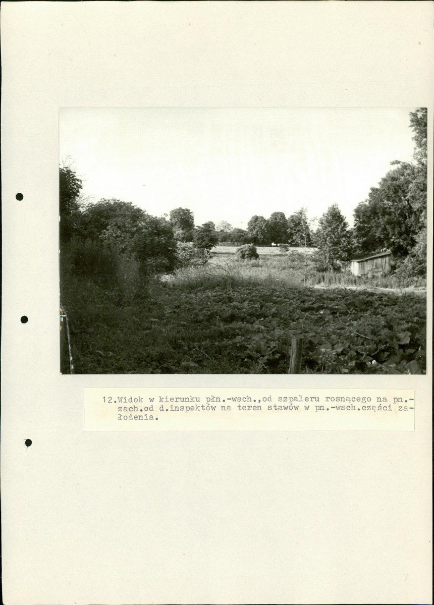 Ewidencja parkowa, skan nr 51