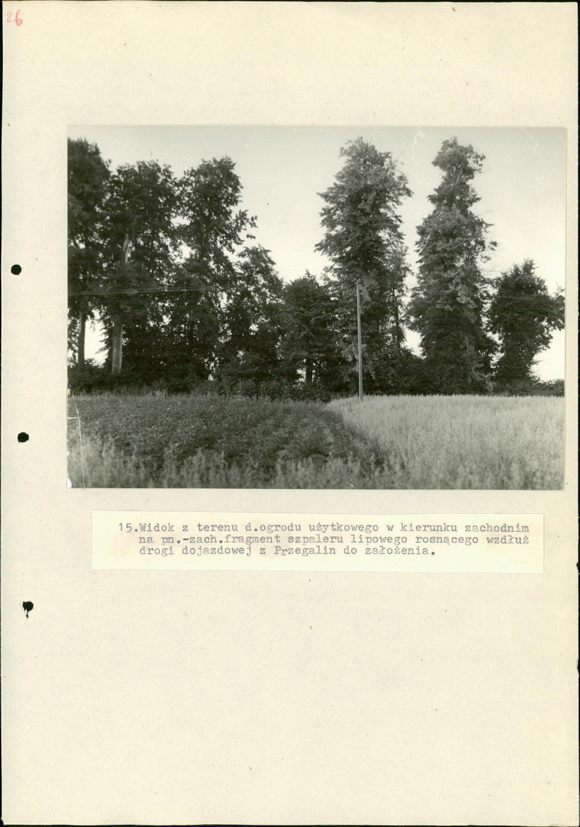 Ewidencja parkowa, skan nr 54