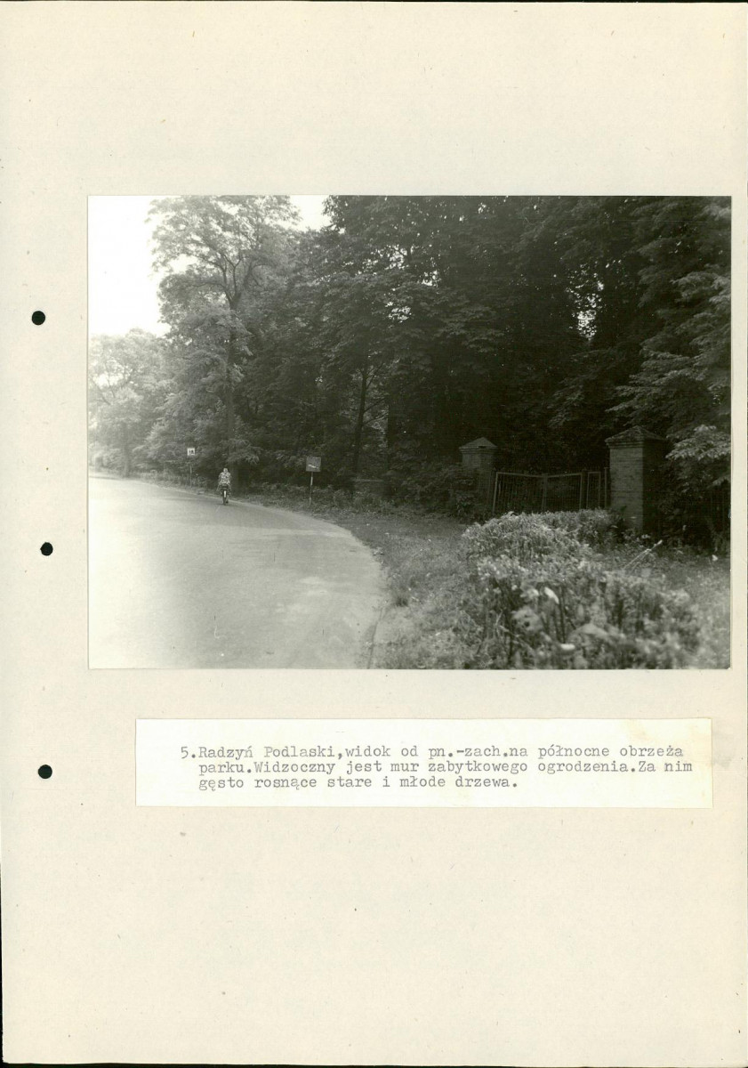 Ewidencja parkowa, skan nr 36