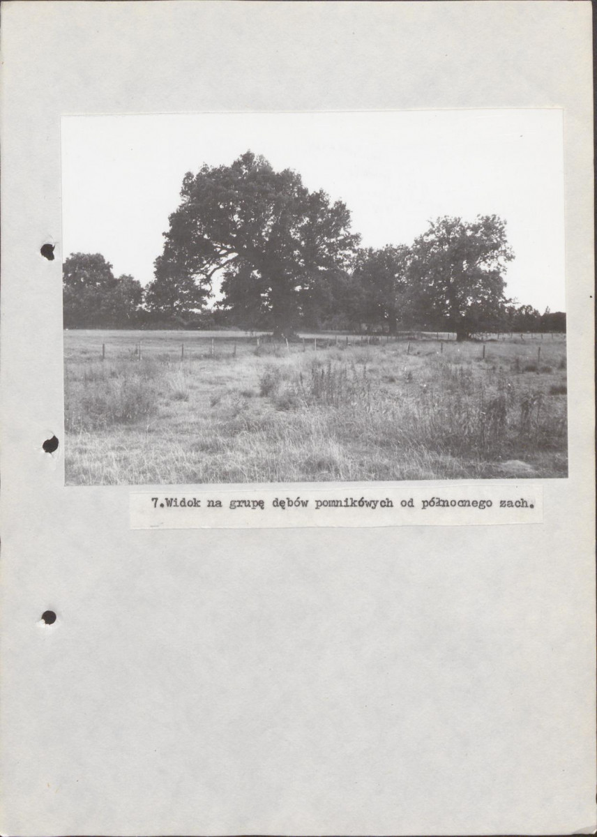 Ewidencja parkowa, skan nr 27