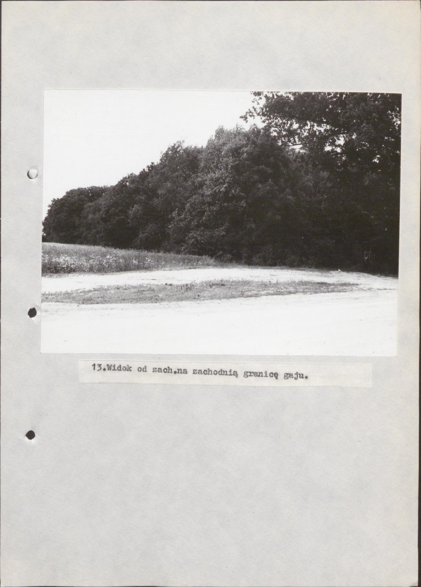 Ewidencja parkowa, skan nr 33