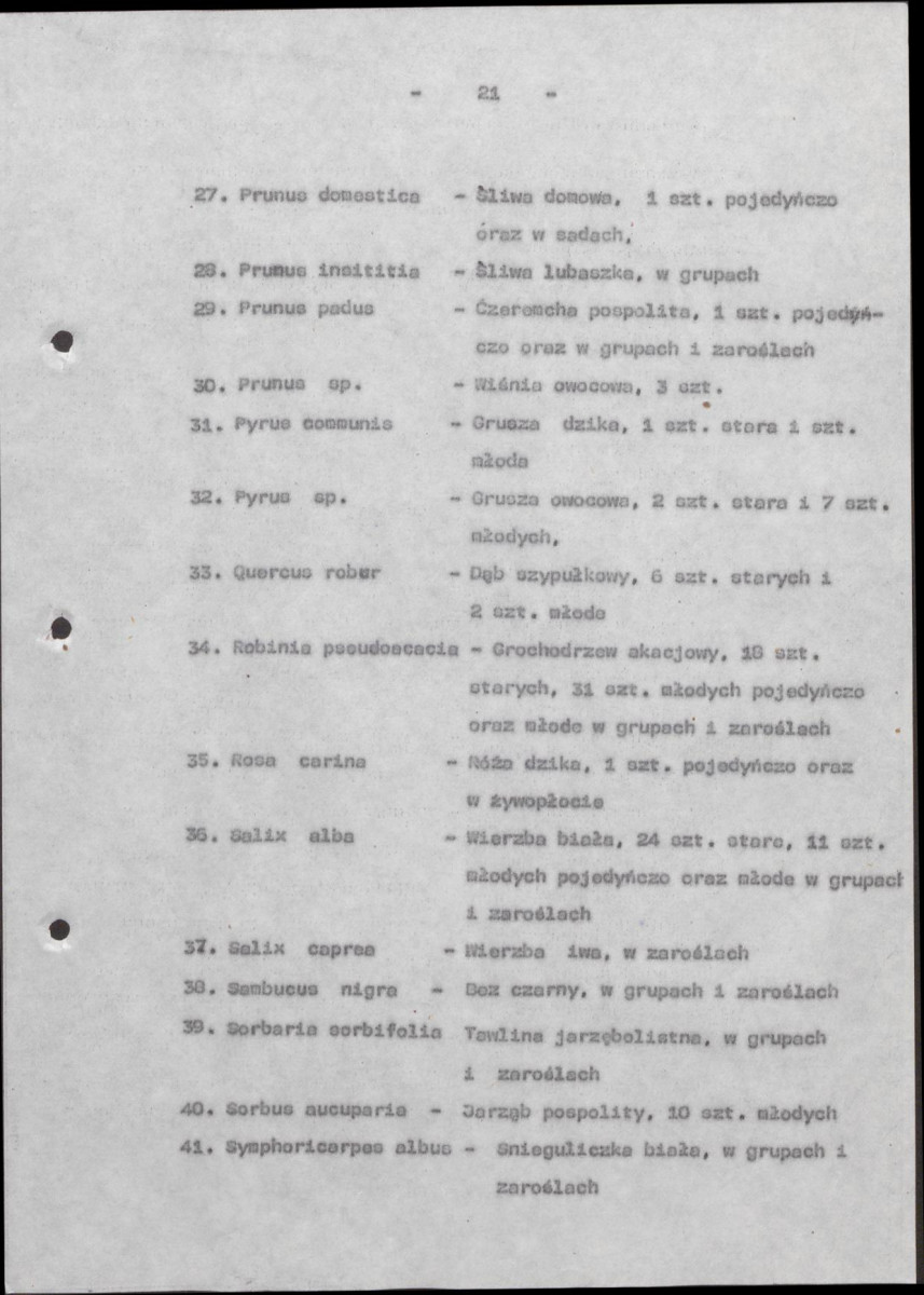 EP - Ewidencja parkowa, skan nr 25