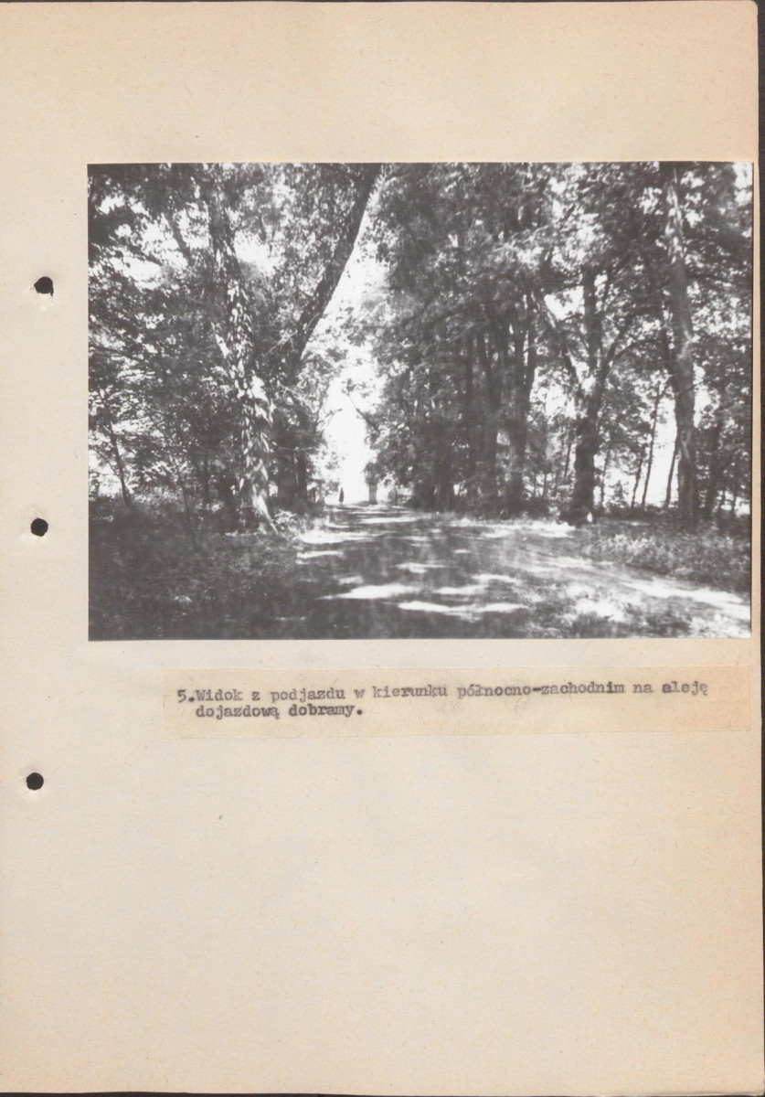 EP - Ewidencja parkowa, skan nr 38
