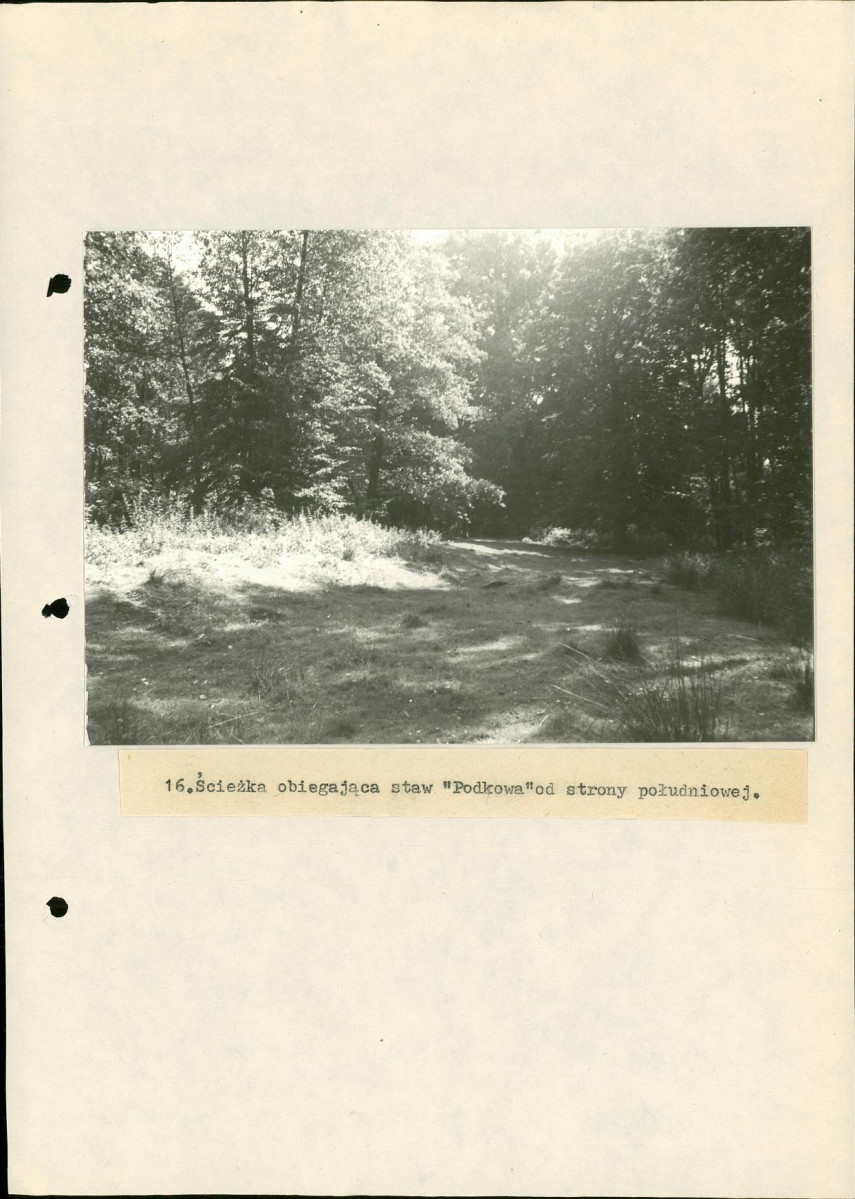 Ewidencja parkowa, skan nr 39