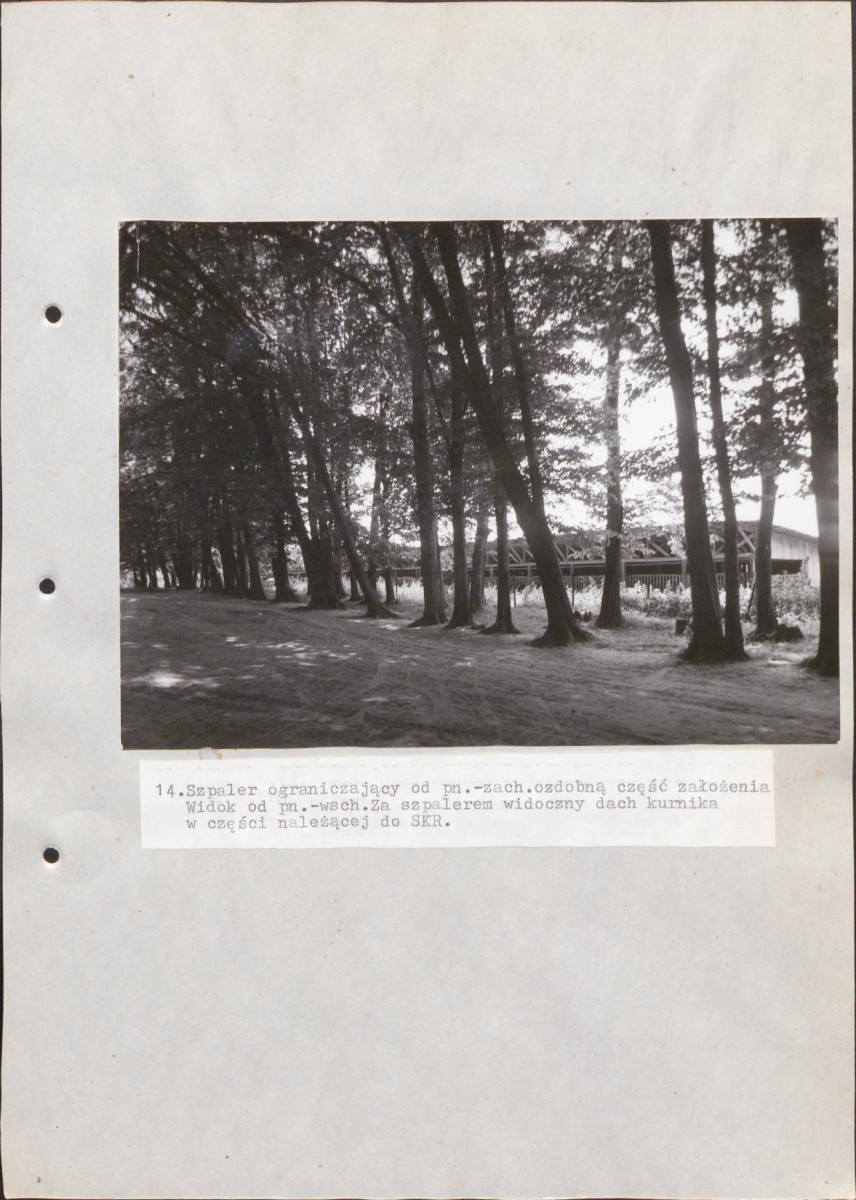 Ewidencja parkowa, skan nr 47