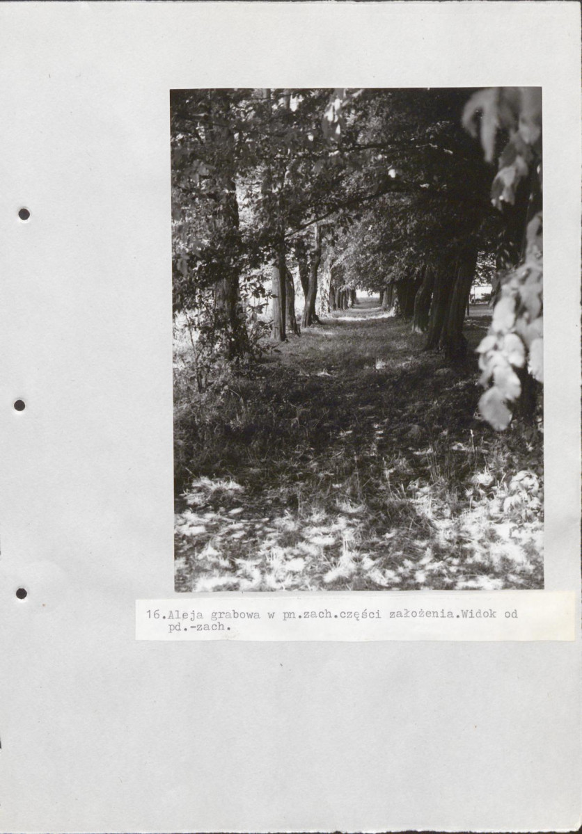Ewidencja parkowa, skan nr 49