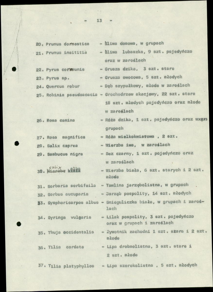 EP - Ewidencja parkowa, skan nr 17