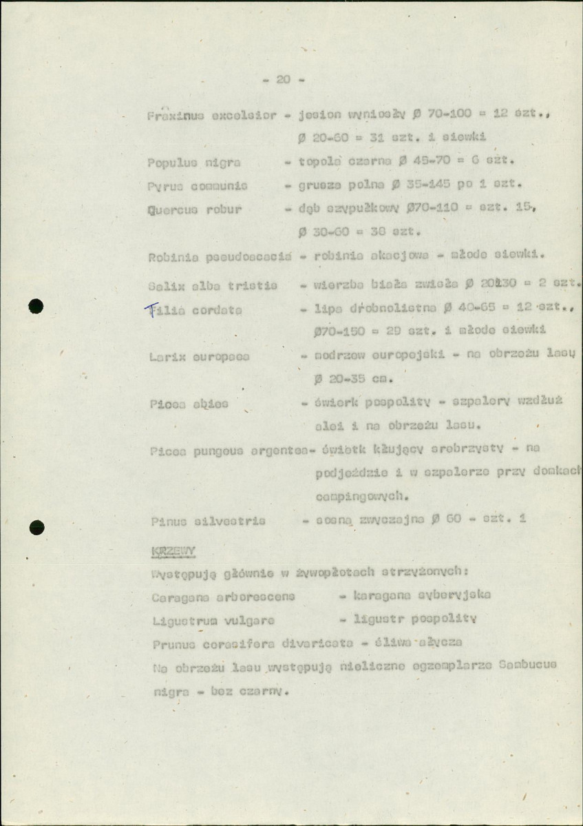 Ewidencja parkowa, skan nr 27