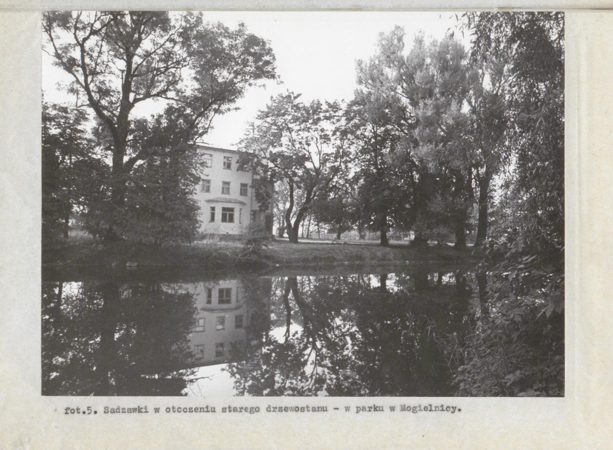 Ewidencja parkowa, skan nr 36