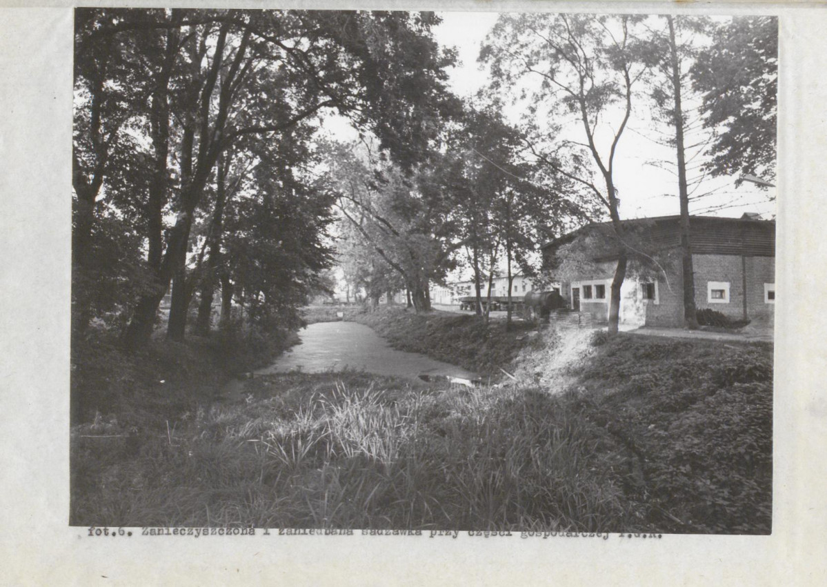 Ewidencja parkowa, skan nr 37