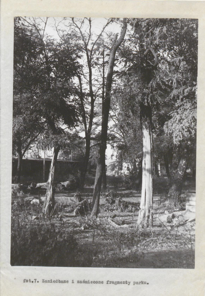 Ewidencja parkowa, skan nr 39