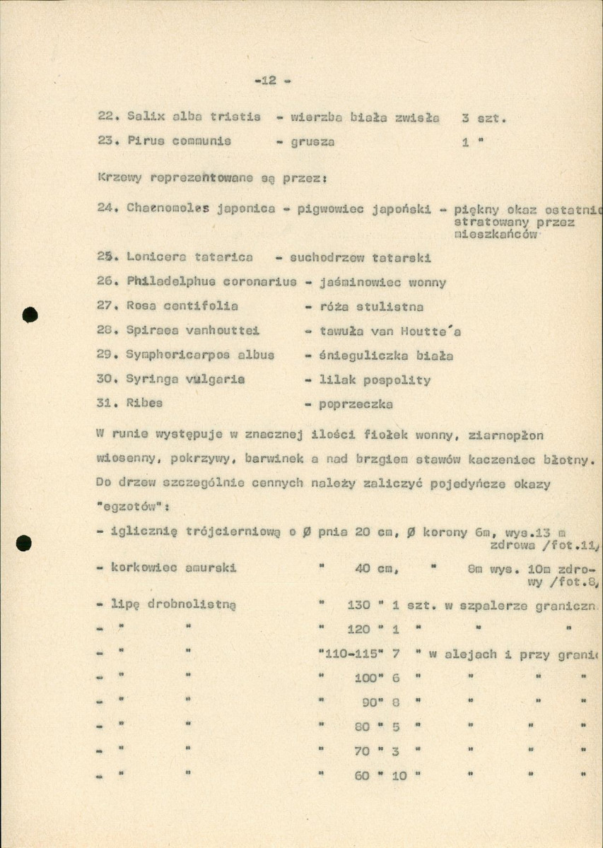 EP - Ewidencja parkowa, skan nr 17
