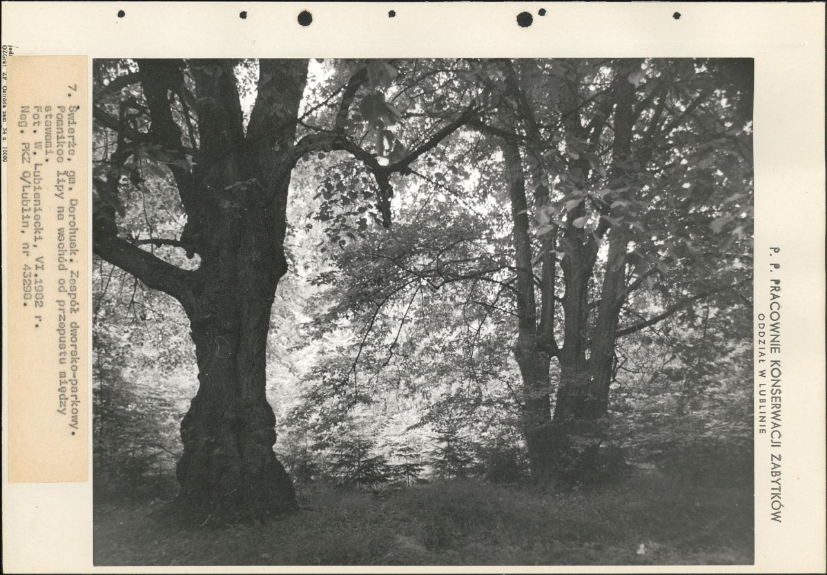 Ewidencja parkowa, skan nr 52