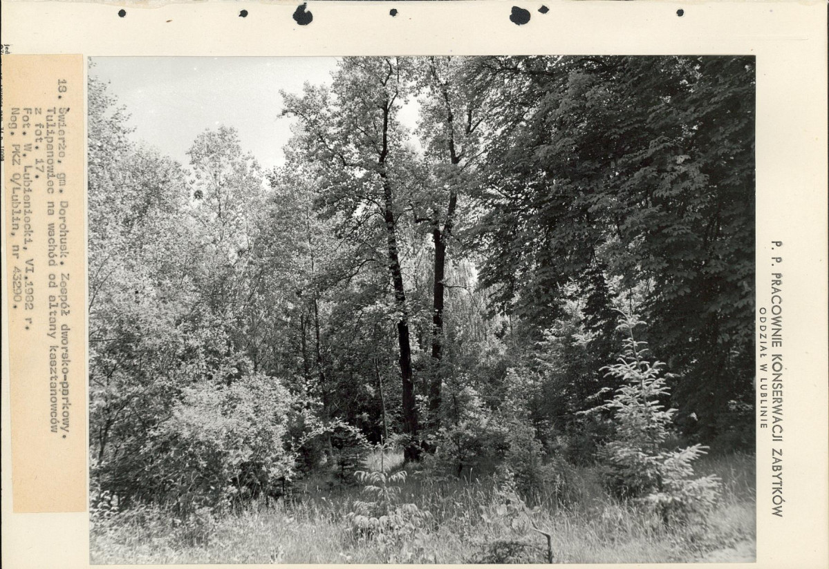 Ewidencja parkowa, skan nr 63