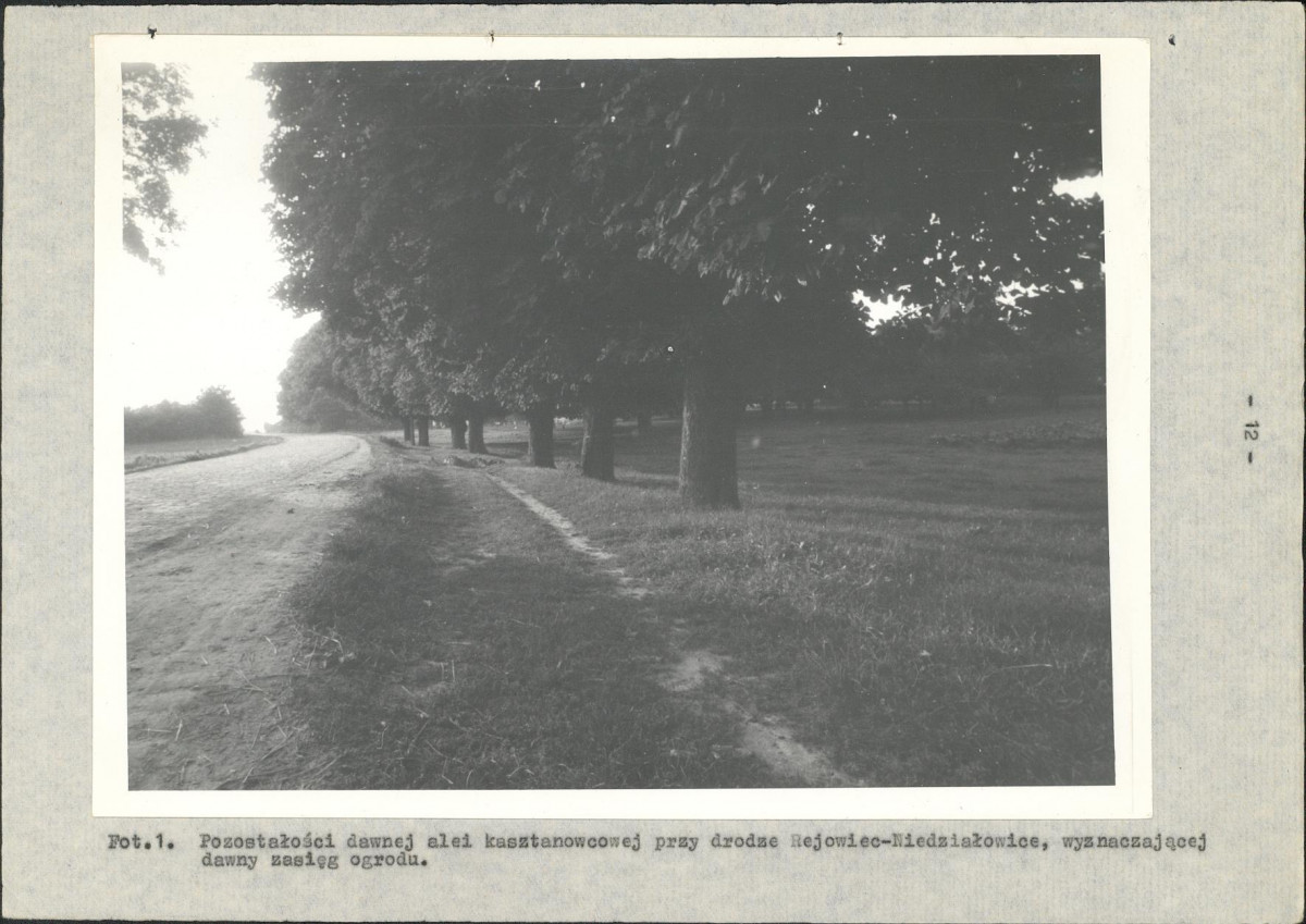 EP - Ewidencja parkowa, skan nr 22