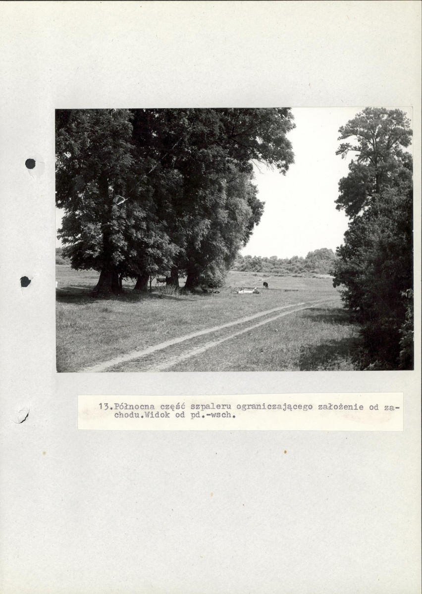 EP - Ewidencja parkowa, skan nr 49