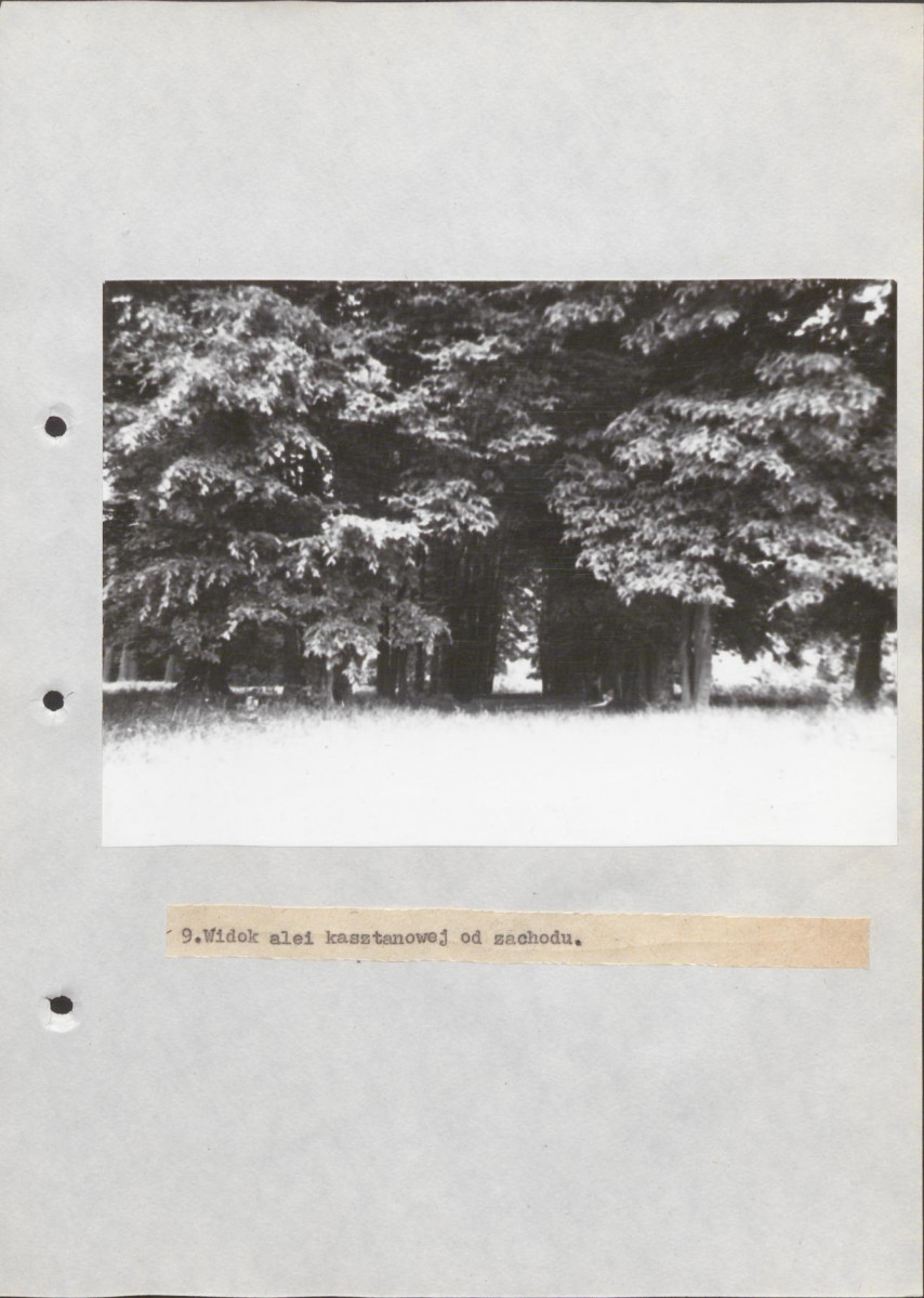 EP - Ewidencja parkowa, skan nr 31