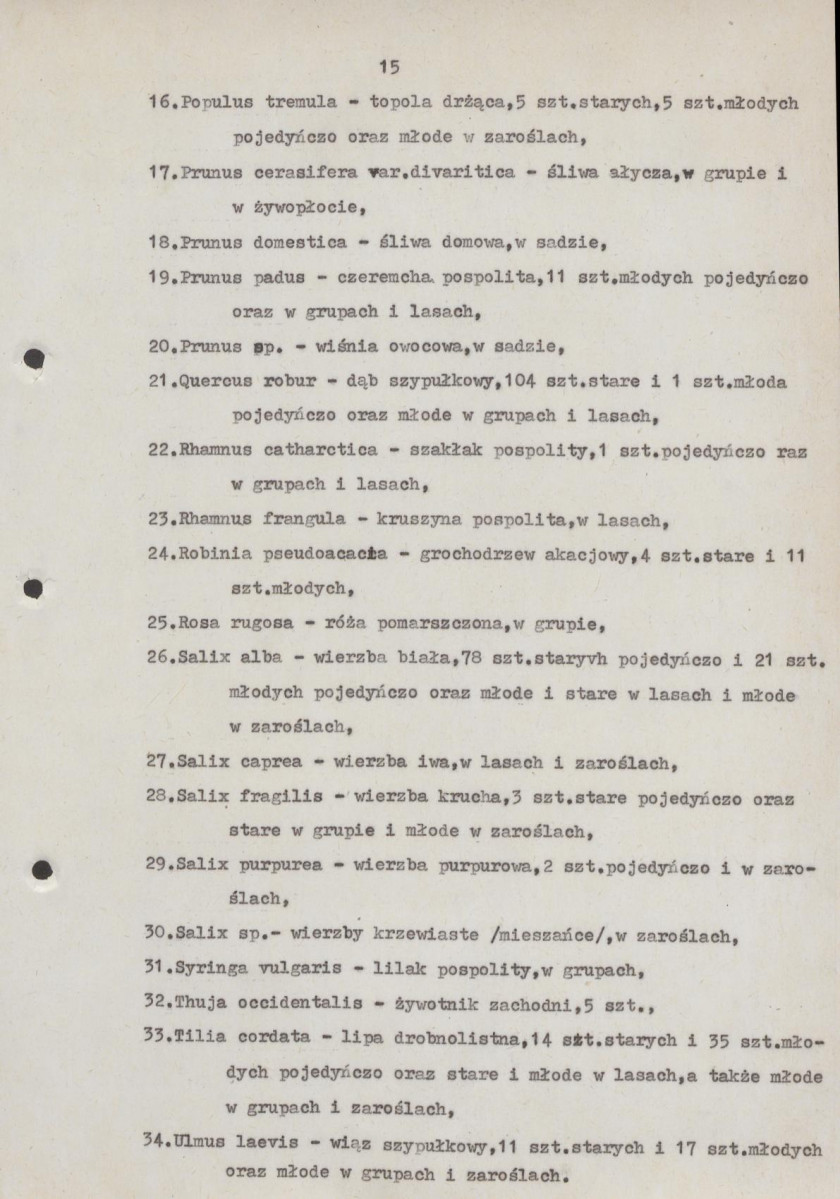 Ewidencja parkowa, skan nr 20