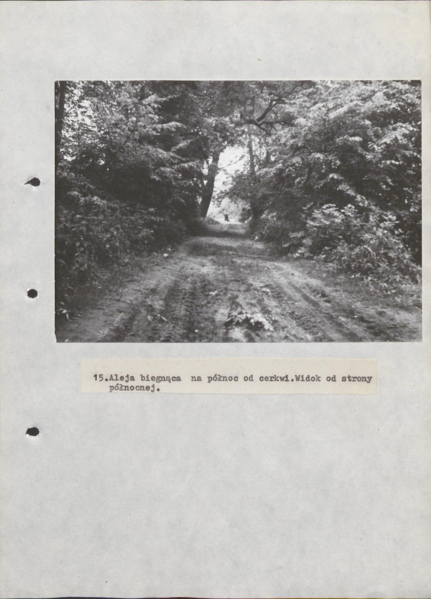 Ewidencja parkowa, skan nr 41