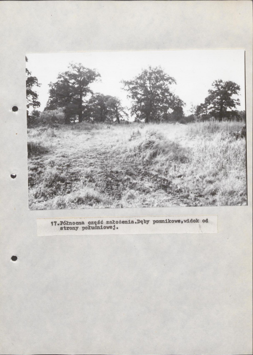 Ewidencja parkowa, skan nr 43