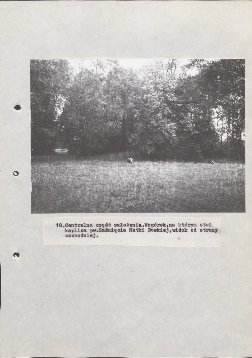 Ewidencja parkowa, skan nr 44