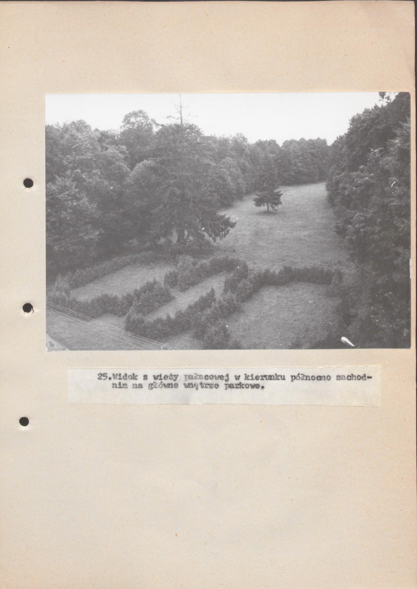 Ewidencja parkowa, skan nr 62