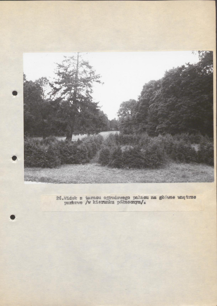 Ewidencja parkowa, skan nr 63